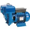 Speroni Centrifugal Water Pump 9510 GPH 2 HP Model HGM50-1.5