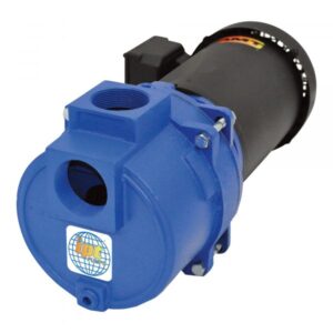 IPT Cast Iron Self-Priming Centrifugal Sewage/Trash Water Pump 2in Ports Model 316AIPT95
