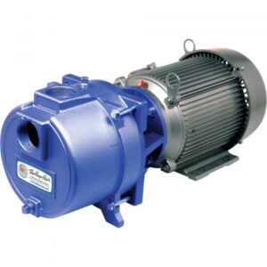 IPT Cast Iron Self-Priming Sprinkler Booster Water Pump 7200 GPH 5 HP 2in Ports Model 3655-IPT-95