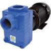 IPT Cast Iron Self-Priming Centrifugal Water Pump 18000 GPH 5 HP 3in Model 2878-IPT-95