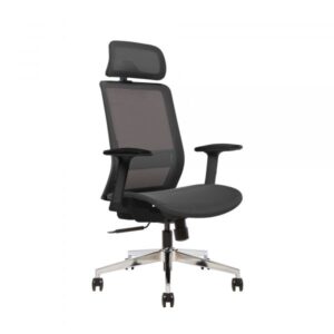 Sinfonia Sing High Back Ergonomic Chair adjustable Arms Fabric Primary Color Blackin cluded (qty.) 1 Seating Type Office Chair Model 810061171522