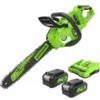 Greenworks 48V 16in Cordless Chainsaw with 4Ah Battery 2pk & Rapid Charger
